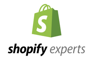 Shopify Store Completion Payment After Reviewing.